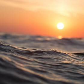 Revolutionize the Dining Industry: A Look at the Future